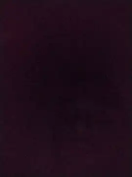 Francescodicristina44