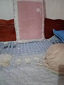 Fieng-cum webcam