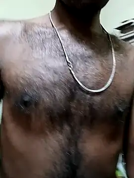 Chocolate_stud10