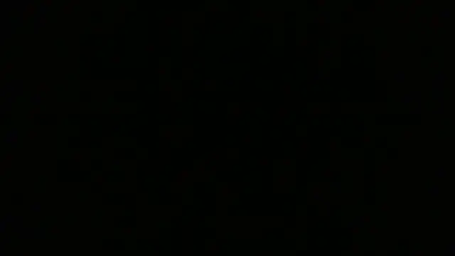 NuttyProfesir