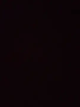 Alevsiz