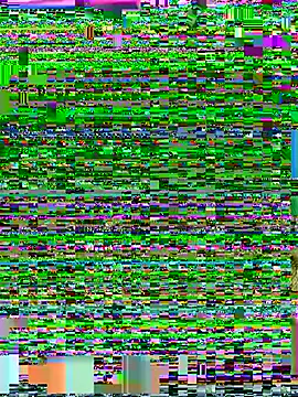 Yorel1109- live cam preview