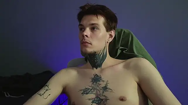 DENIS_HERE webcam