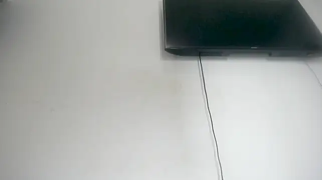 Fox_Loves