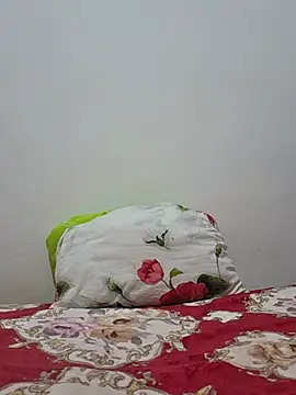 altinya webcam