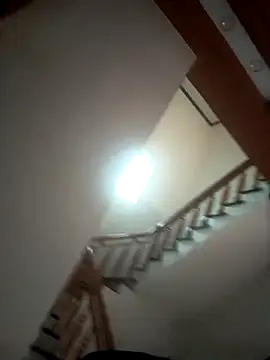 Vieekee webcam