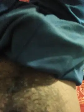 haard_dickkk webcam
