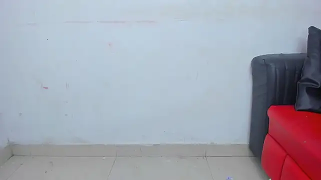 Extreme_Team8 webcam