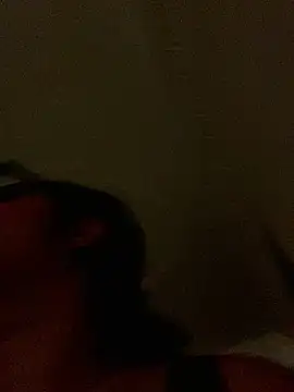 NV-Nikoll webcam