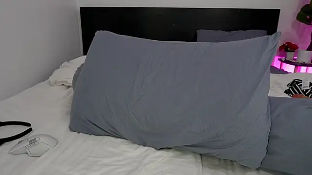 Heeykitty webcam
