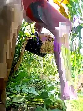 LeadxKc live cam preview