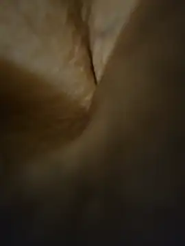 BiBi0089