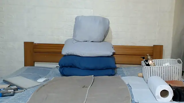 awild_kitten webcam