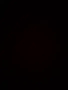 ricou84300 webcam