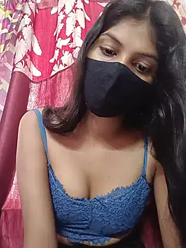 Amira-school webcam