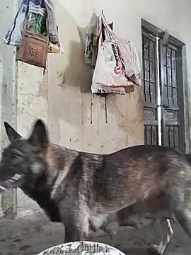 gugu0022