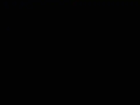 natti_fox webcam