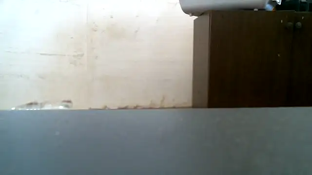 LUCKYMINT webcam
