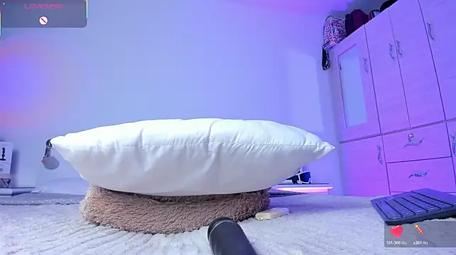 Dulcey- webcam