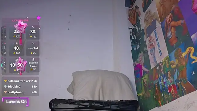 Mistileav webcam
