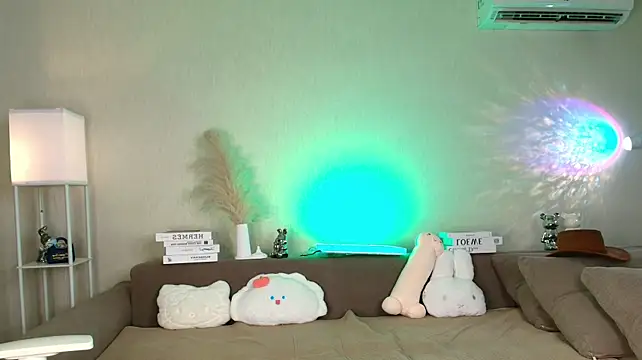 Petitekaya