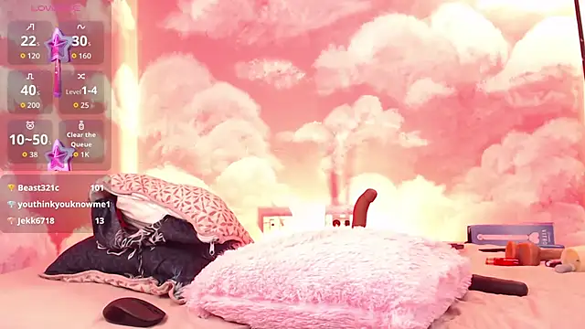 vivirouse webcam