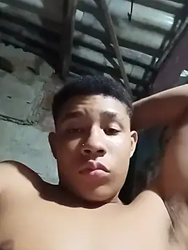 tilisitico
