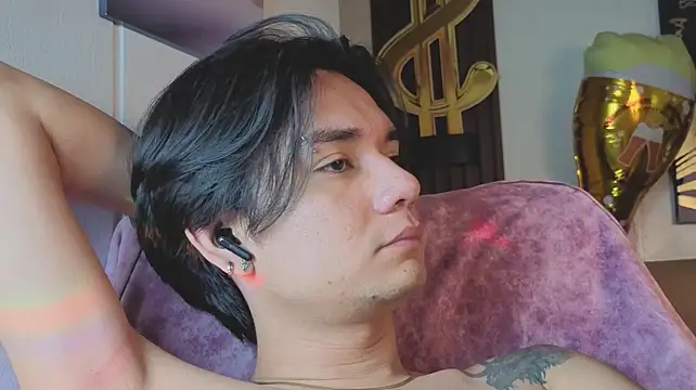 davoxer