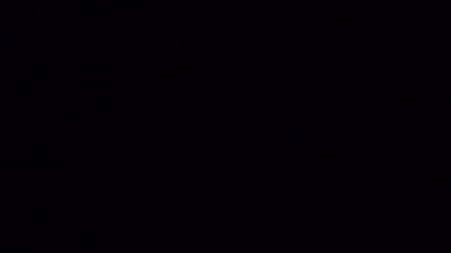 kellygrace_vg
