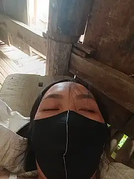 Hiha-nn webcam