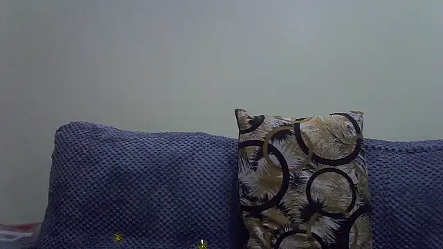 Enkarxx webcam