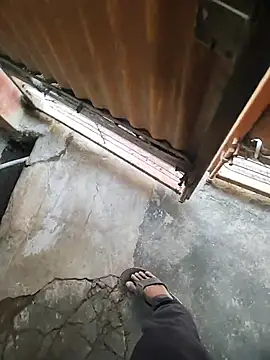 lambakooli webcam