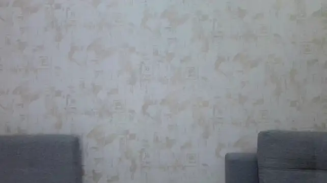 merrylapel webcam
