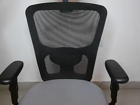 Shnya12 webcam