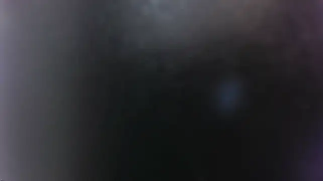 dalila_sp webcam