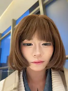 MeimoDog