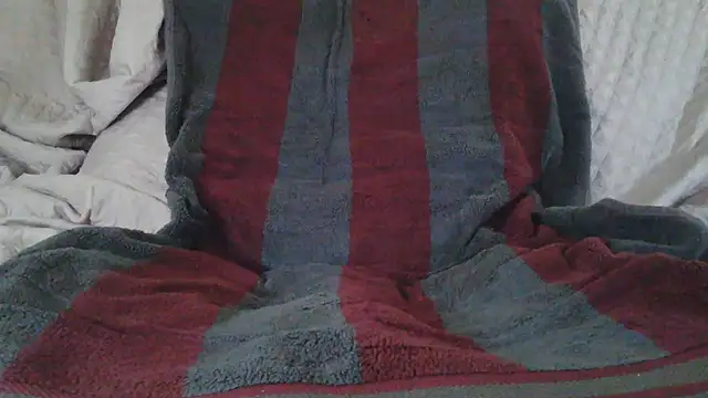 axes webcam