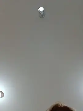 Laurinhasafad webcam