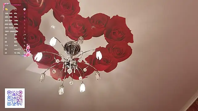 VirginaCoty live cam preview