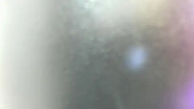 dalila_sp