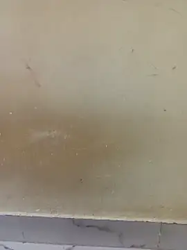 Kittu_Rani25