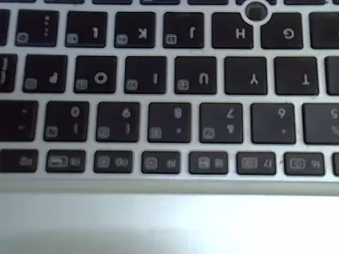 Delicious-D webcam
