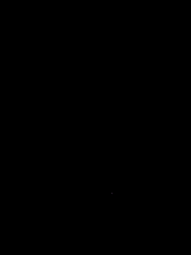 AceticPinscher webcam
