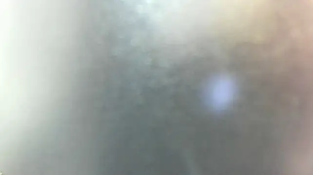 dalila_sp