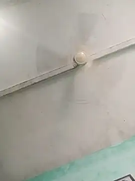 Missrajni780304