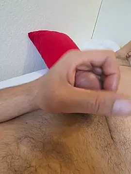 BiBi0089 webcam