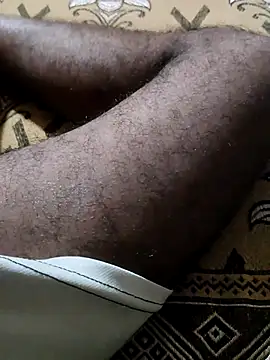 Bengali_BULL1 webcam