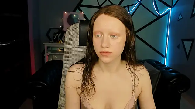 LidaDarknet webcam