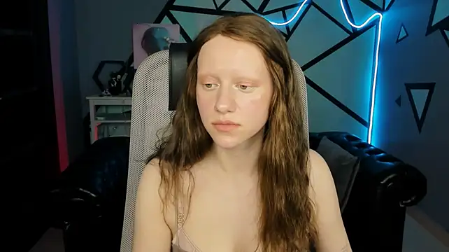 LidaDarknet webcam