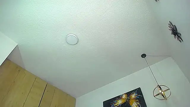sasi_luna webcam